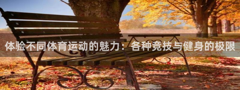 凯发官网下载平台注册要钱吗安全吗：体验不同体育运动的