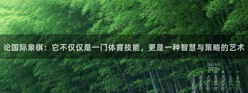凯发官网下载平台注册流程图：论国际象棋：它不仅仅是一