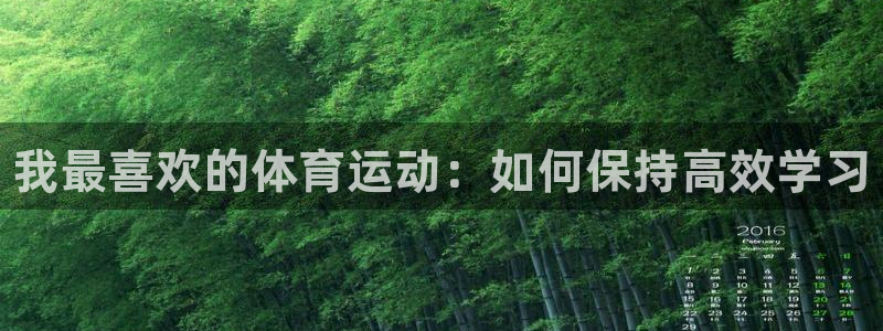 凯发官方正版app娱乐40996：我最喜欢的体育运动