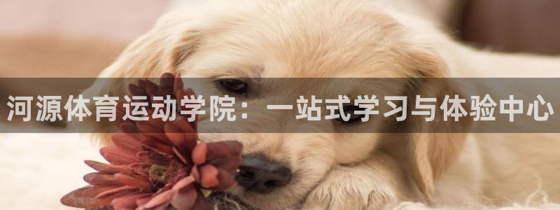 凯发官网下载平台注册要钱吗安全吗：河源体育运动学院：一站式学