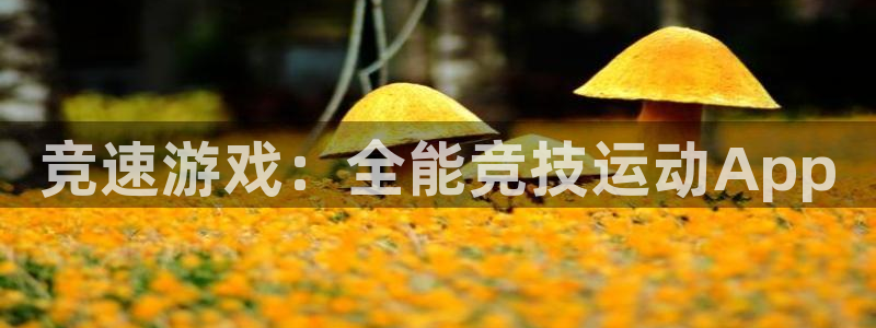 凯发官网下载注册：竞速游戏：全能竞技运动App