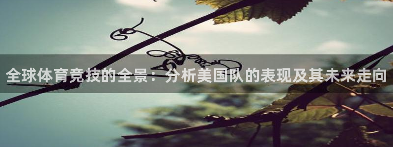 注册凯发官方正版app：全球体育竞技的全景：分析美国