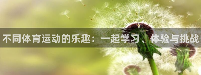 凯发官方正版app集团E.ON：不同体育运动的乐趣：一起学习
