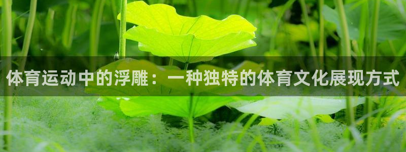 凯发官网下载平台：体育运动中的浮雕：一种独特的体育文化展现方