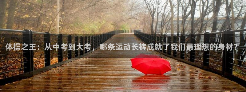 海南凯发官网下载