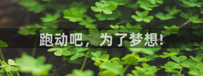 凯发官方正版app集团E.ON