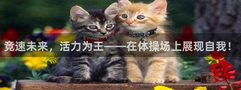 凯发官方正版app集团官网网址：竞速未来，活力为王—