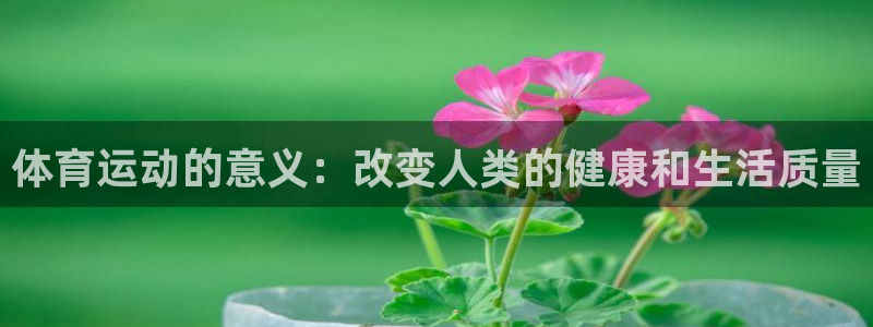 凯发官方正版app集团logo