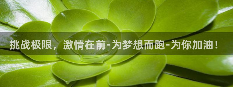 凯发官网下载招商电话地址是多少：挑战极限，激情在前-
