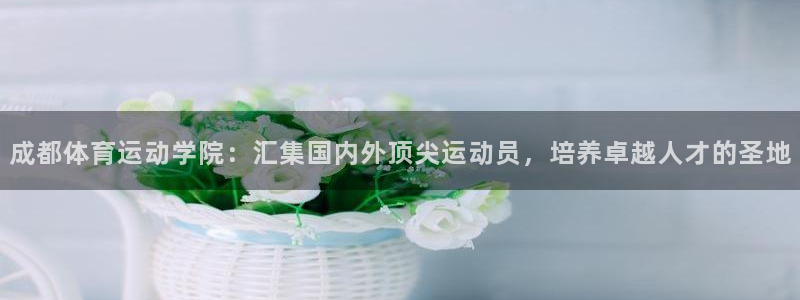 海南凯发官网下载：成都体育运动学院：汇集国内外顶尖运