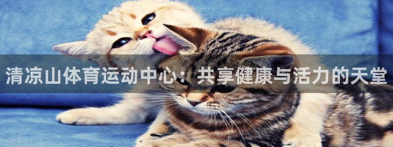 凯发官网下载招商电话地址是多少：清凉山体育运动中心：共享健康