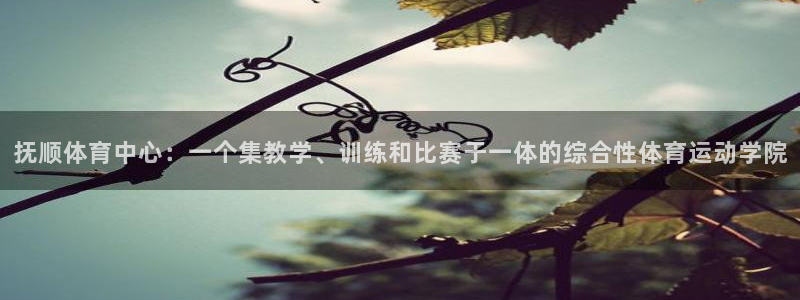 德国凯发官方正版app集团：抚顺体育中心：一个集教学、训练和