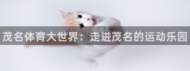 凯发官方正版app集团logo：茂名体育大世界：走进