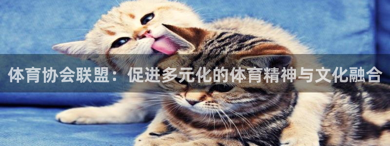 凯发官方正版app开户：体育协会联盟：促进多元化的体育精神与