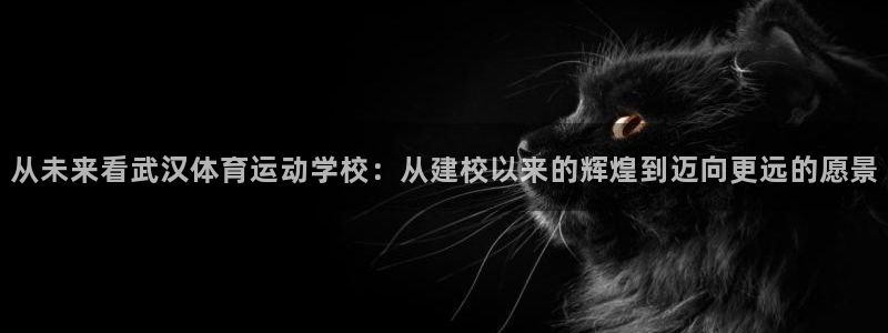 凯发官网下载平台注册要钱吗：从未来看武汉体育运动学校