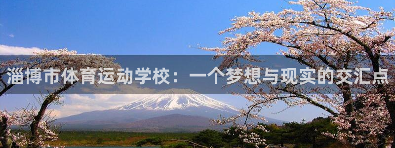 凯发官网下载平台注册要钱吗是真的吗：淄博市体育运动学校：一个