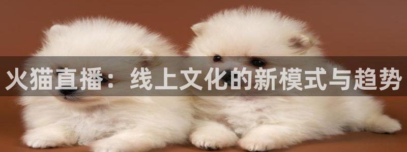 松鼠体育在线直播下载