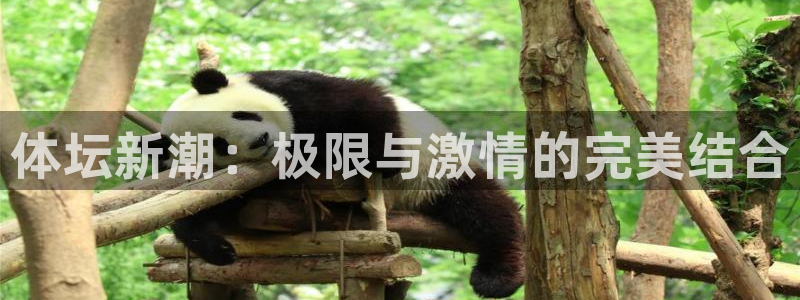 凯发官网下载招商电话号码是多少：体坛新潮：极限与激情的完美结