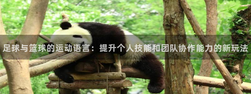 凯发官网下载是干嘛的公司：足球与篮球的运动语言：提升个人技能